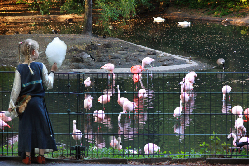 Mittelalter im Zoo